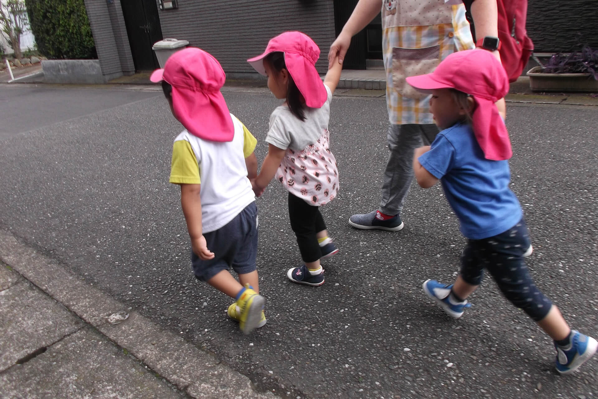 先生と園児たちが手をつないでお散歩する後ろ姿